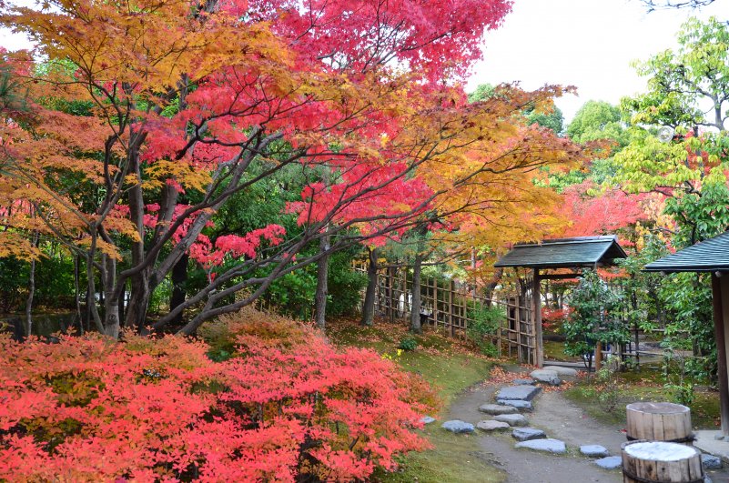 Ботанический сад Нагои 
